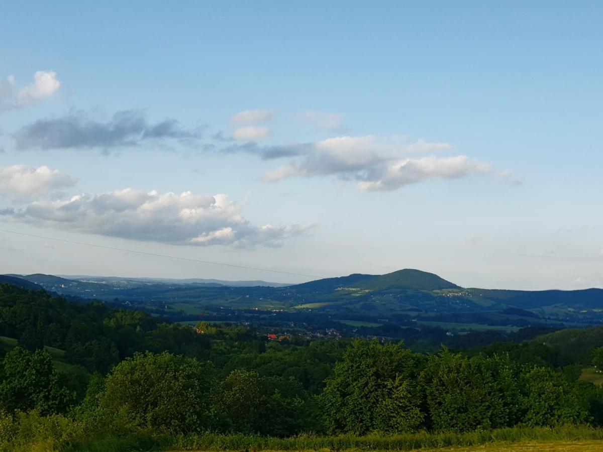 Zasankowe Wzgorze *